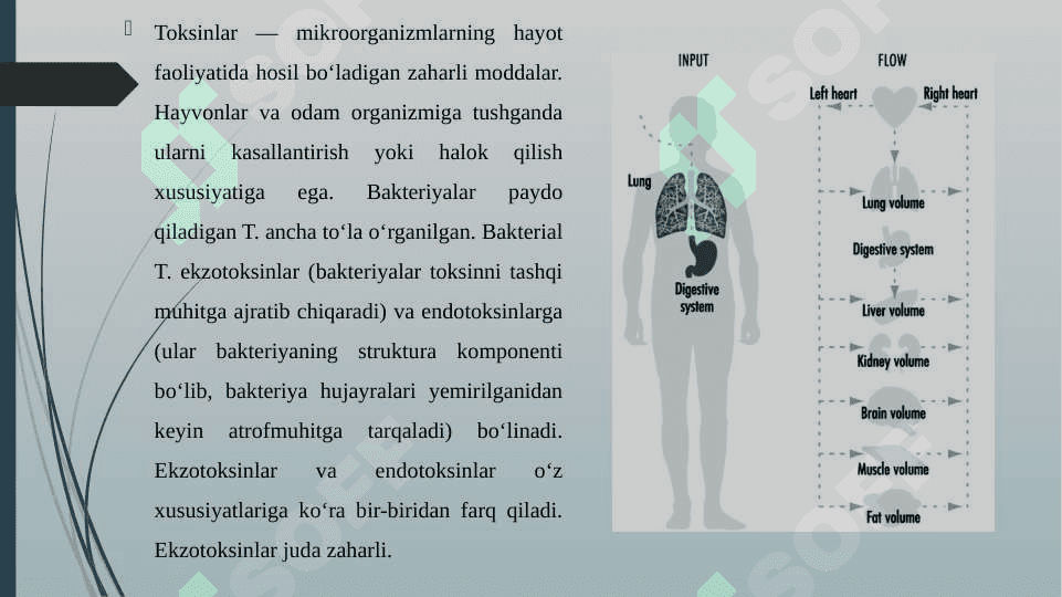 TOKSIN MODDALARNI TURLARI 3
