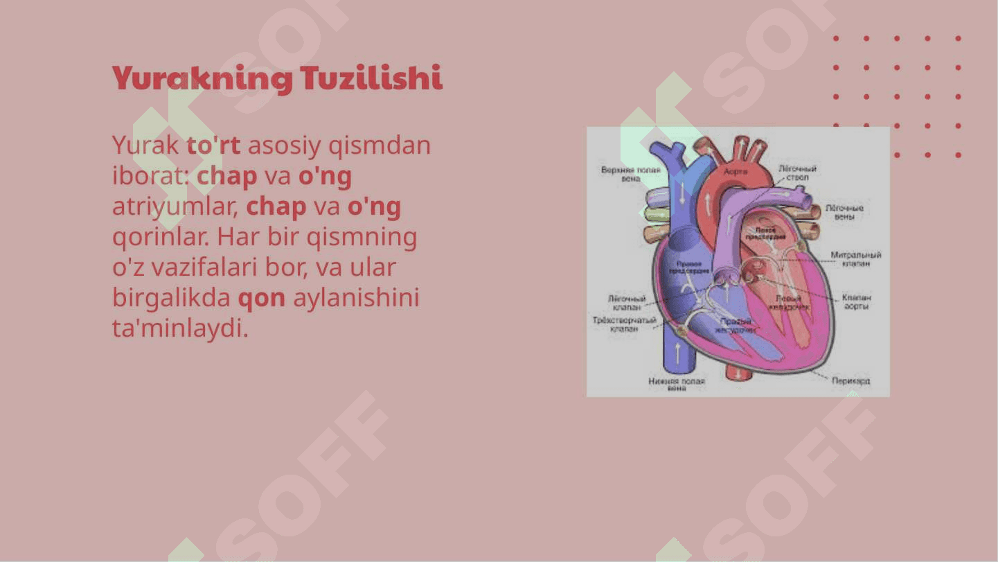 Yurakning ishlash prinsipi 5