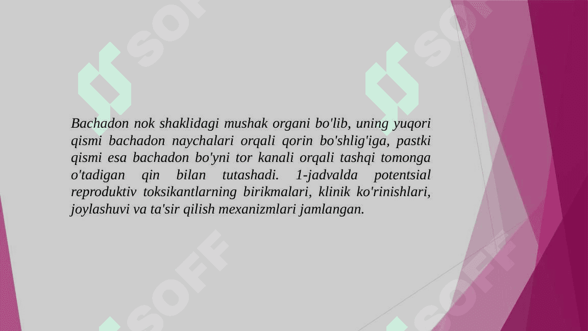 Ayol reproduktiv  tizimi anatomiyasi 4