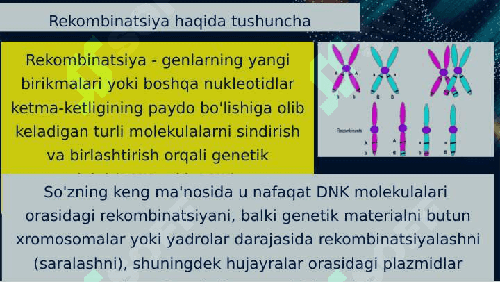 DNK rekombinatsiyasi 3