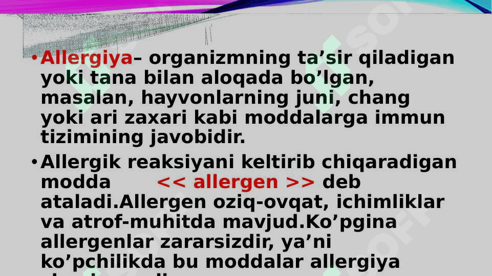 ALLERGIYA 2