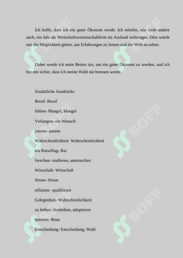 Berufe und Familie. Mein zukünftiger Beruf. 4