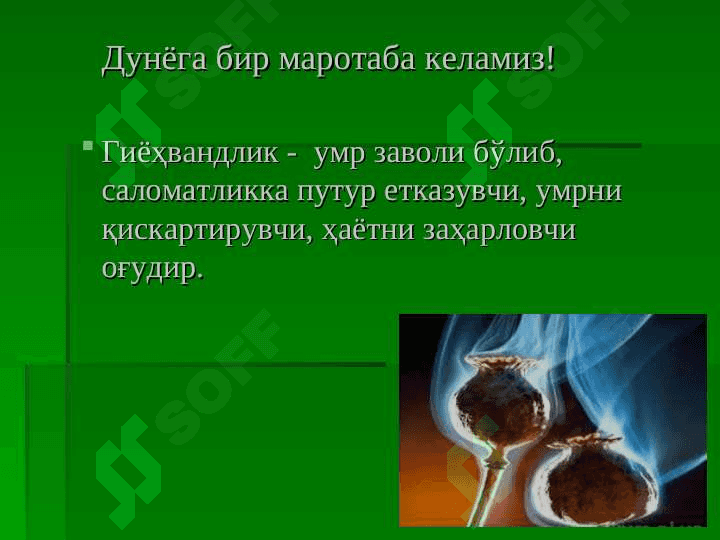 Гиёҳвандлик –умр заволи 5