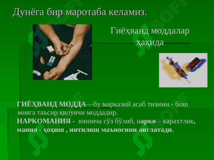 Гиёҳвандлик –умр заволи 6