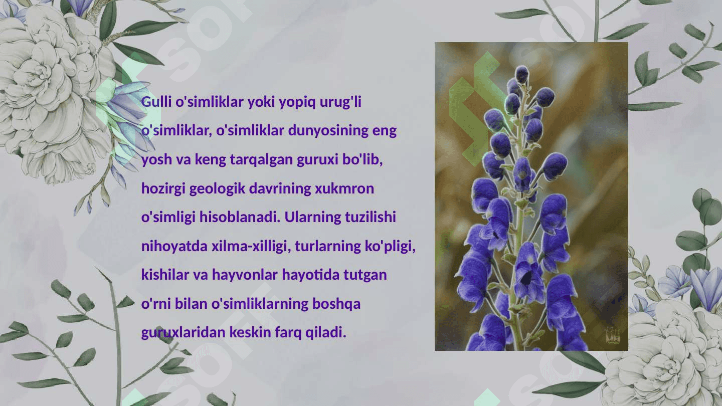 Gulli òsimliklarni xilma xilligi 2
