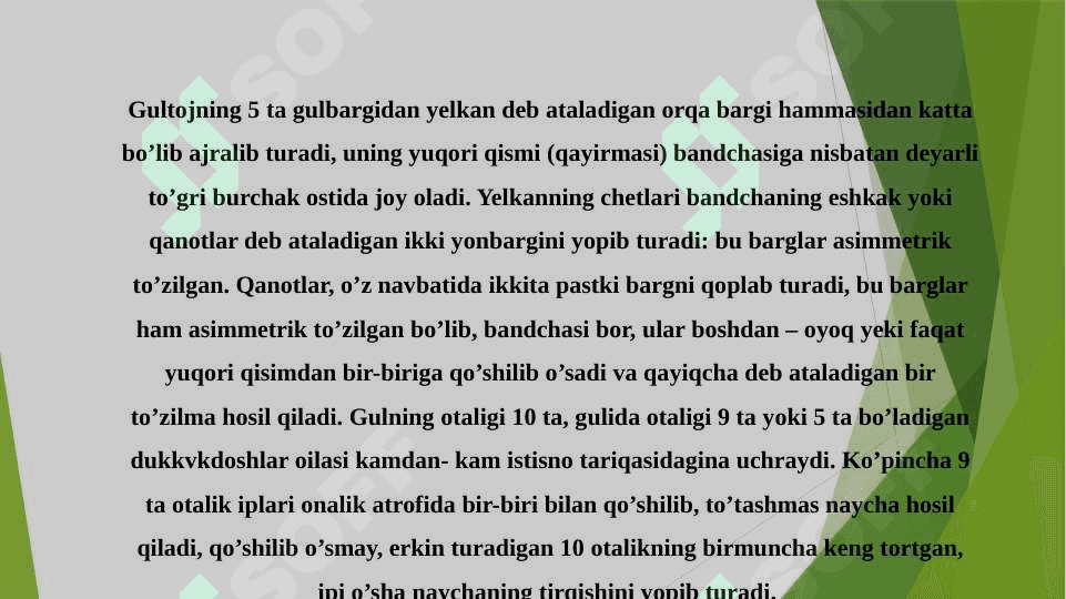 BURCHOQDOSHLAR OILASI 3
