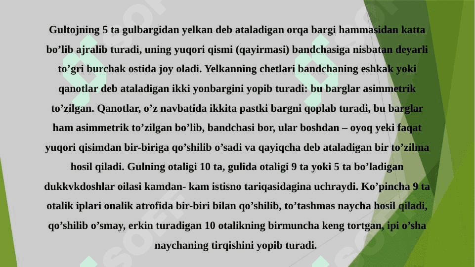 BURCHOQDOSHLAR OILASI 4