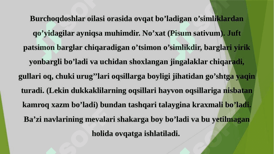 BURCHOQDOSHLAR OILASI 6