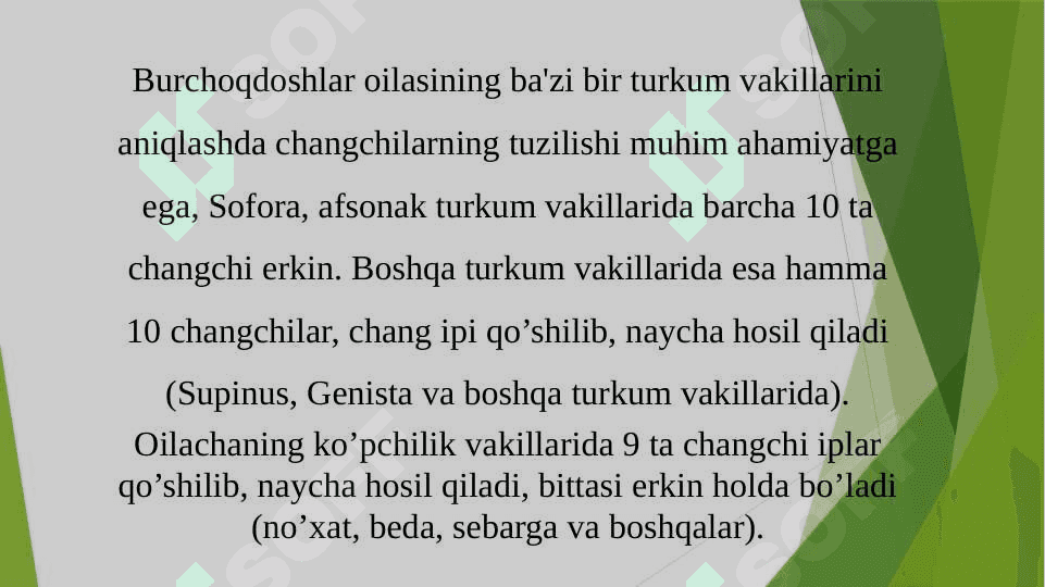 BURCHOQDOSHLAR OILASI 8