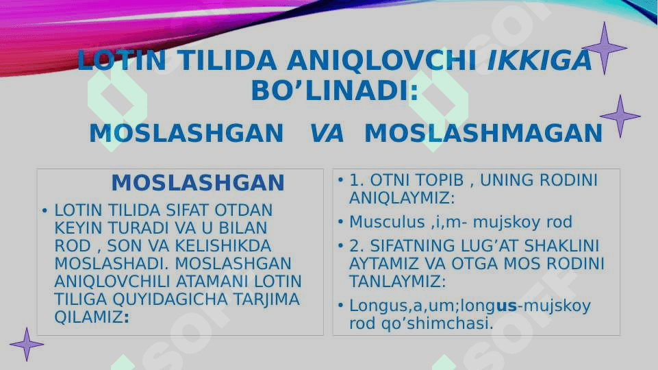 MOSLASHGAN VA MOSLASHMAGAN ANIQLOVCHI ISHTIROKIDA ANATOMIK TERMINLAR STRUKTURASI 4