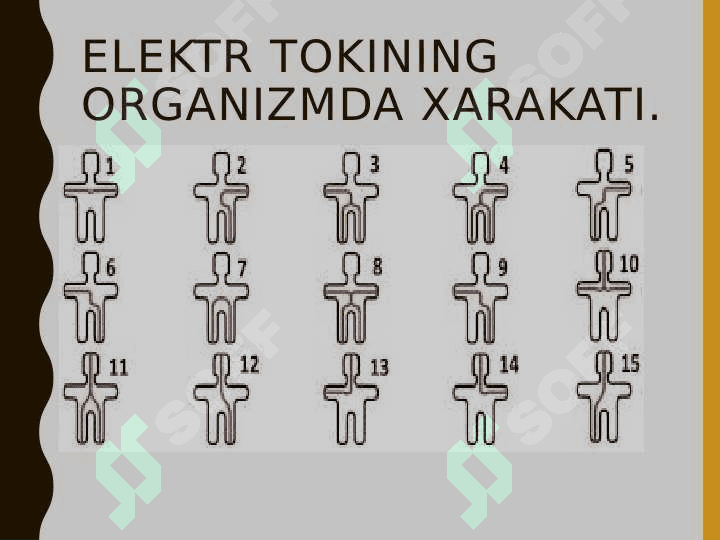 Elektr tokining inson organizmiga ta’siri 5