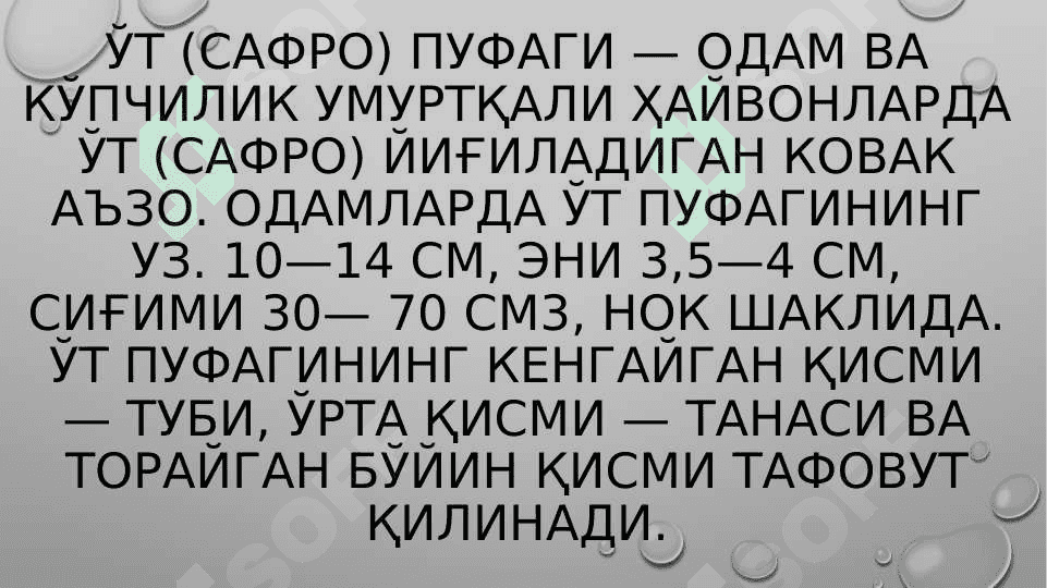 O’t yo’llari diskineziyasi 2