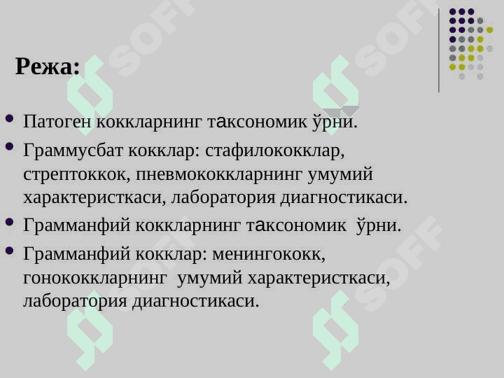 Граммусбат кокклар ва грамманфий коккларнинг 2