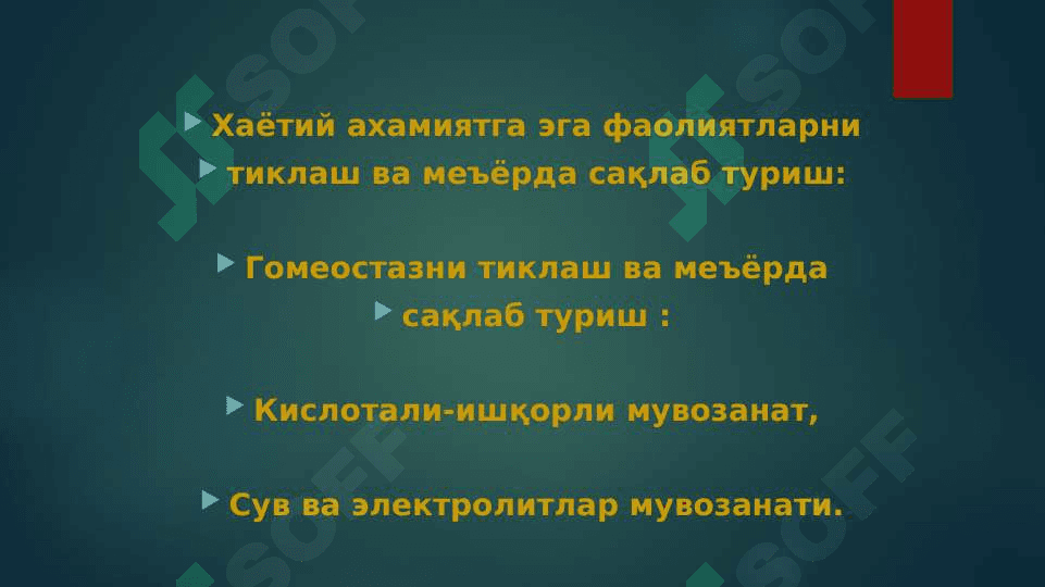 Harakatdagi armiyada terapevtik yordamni tashkil qilish 4