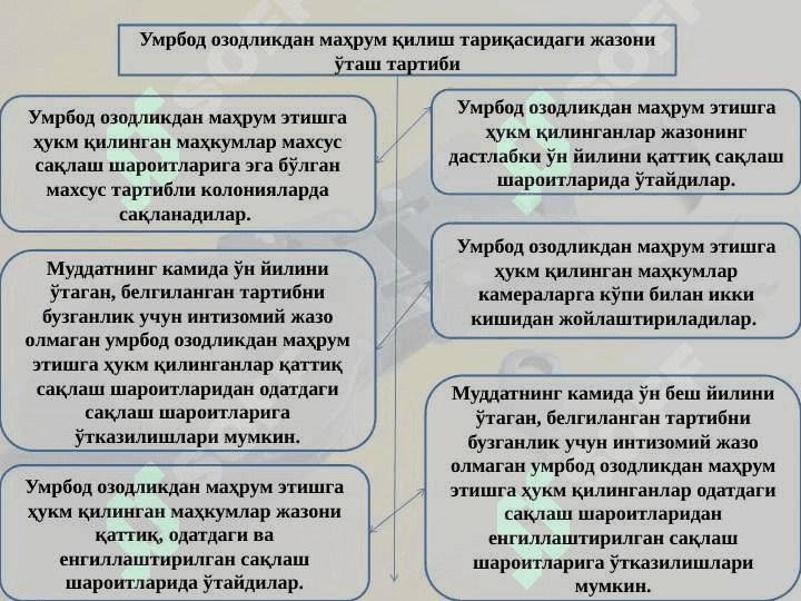 Умрбод озодликдан маҳрум қилиш тариқасидаги жазони ижро этиш 3