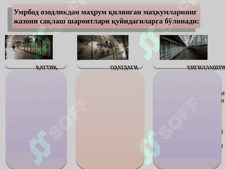 Умрбод озодликдан маҳрум қилиш тариқасидаги жазони ижро этиш 4