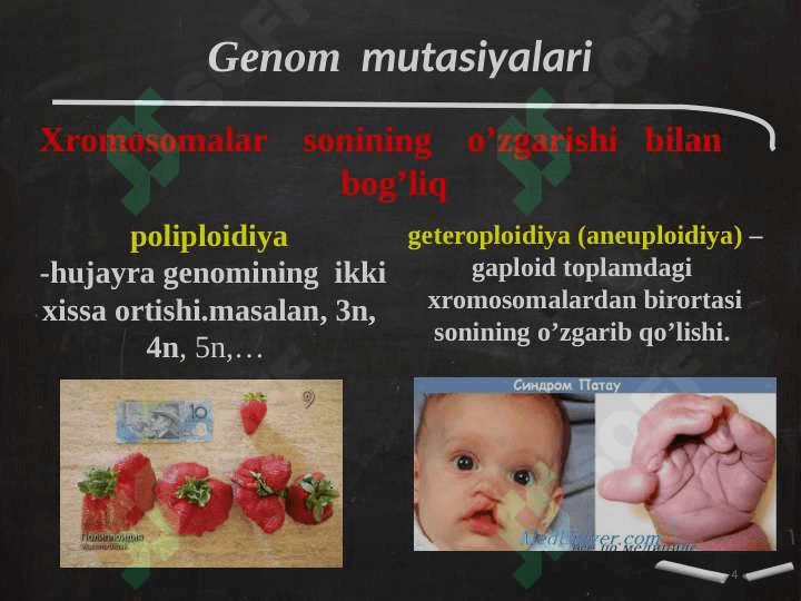 Odamda uchraydigan irsiy kasalliklar 4