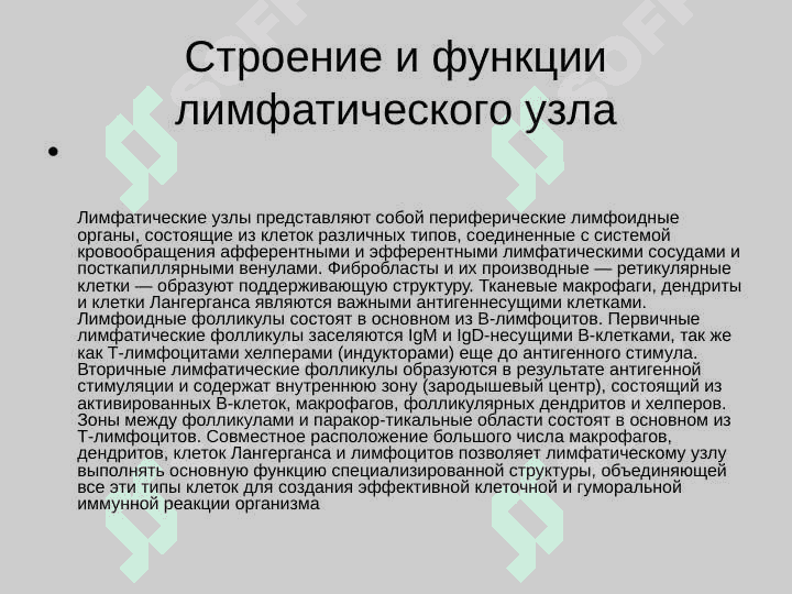 Образовние, состав и функции лимфы 5