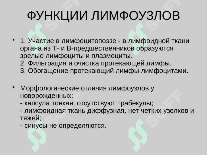 Образовние, состав и функции лимфы 6