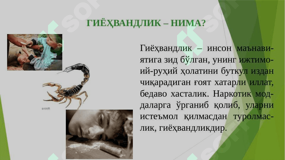 Гиёҳвандлик – умр заволи 2