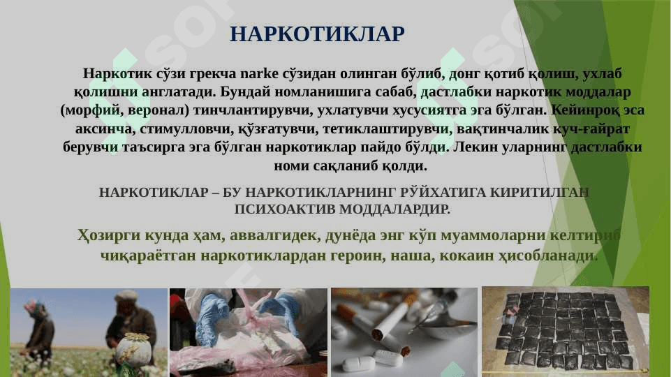 Гиёҳвандлик – умр заволи 4