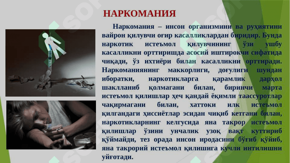 Гиёҳвандлик – умр заволи 7