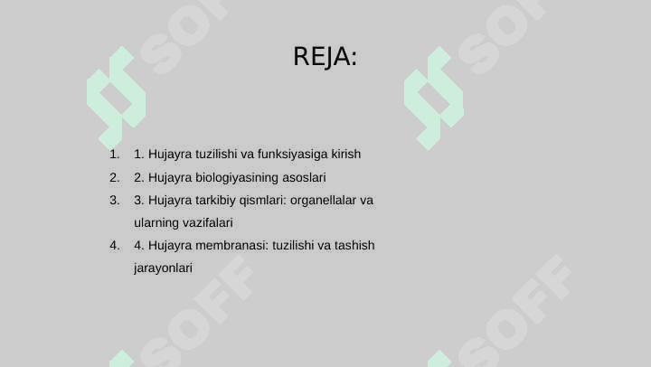 Hujayra tuzilishi va funksiyasi 2