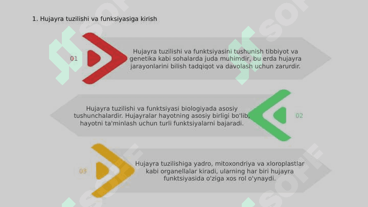 Hujayra tuzilishi va funksiyasi 3