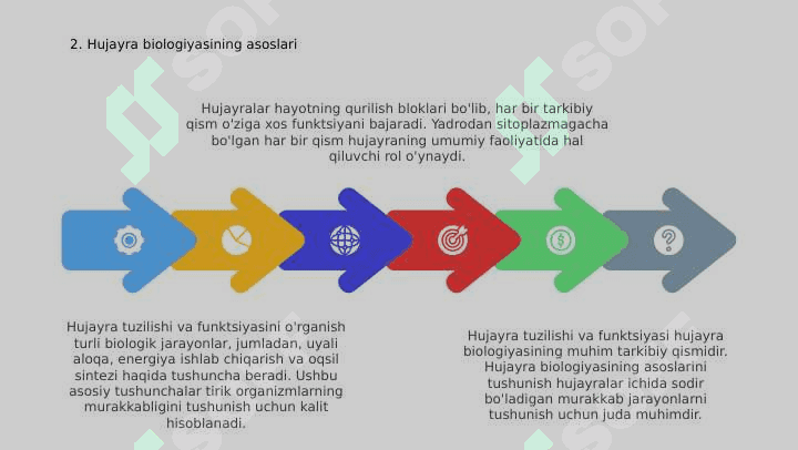 Hujayra tuzilishi va funksiyasi 4