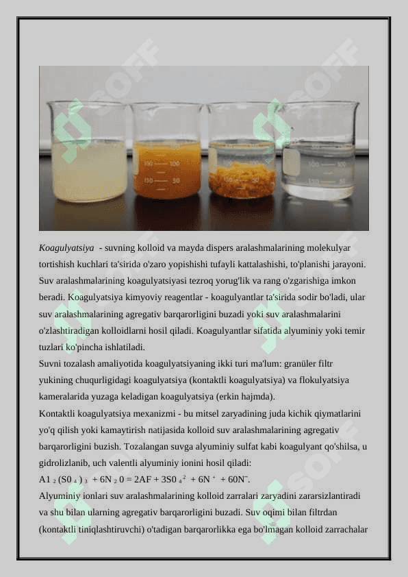 ICHIMLIK SUVINI KOAGULYATSIYASI 2