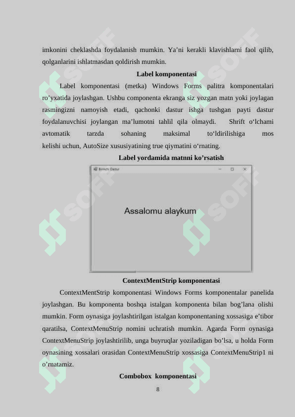 C# dasturlash tilida Tab Control komponentasi yordamida dasturlash yaratish 8
