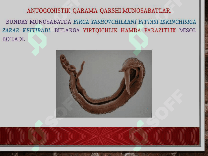 Parazitizm va parazitlar to‘g‘risida tushunchalar. 8