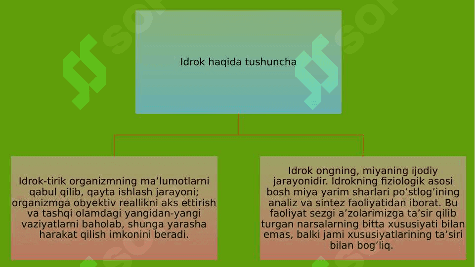 Idrok, tafakkur, nutq va xayol turlari 2