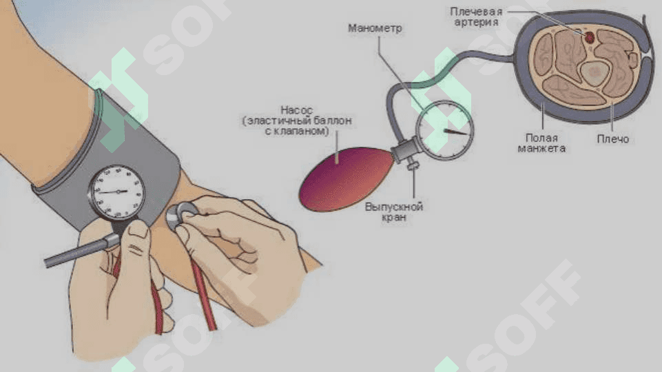 Arterial qon bosimi va periferik pulsni tibbiyotda ahamiyati 6