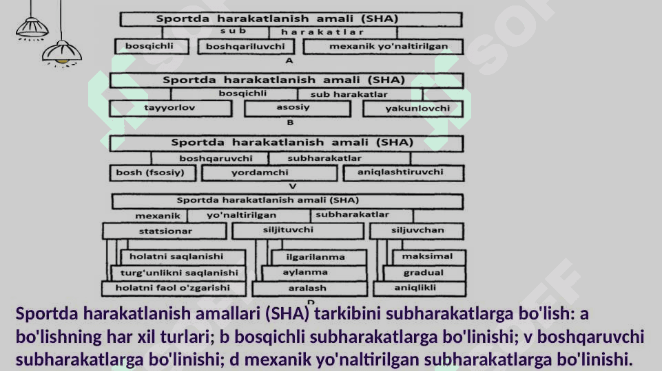 Sportda harakatlanish faolligi masalalari va ularni yechish 3