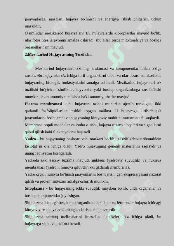 Mezikariod hujayrasi 3