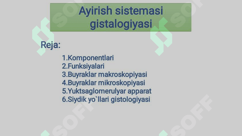 ayirish sistemasi gistalogiyasi 2