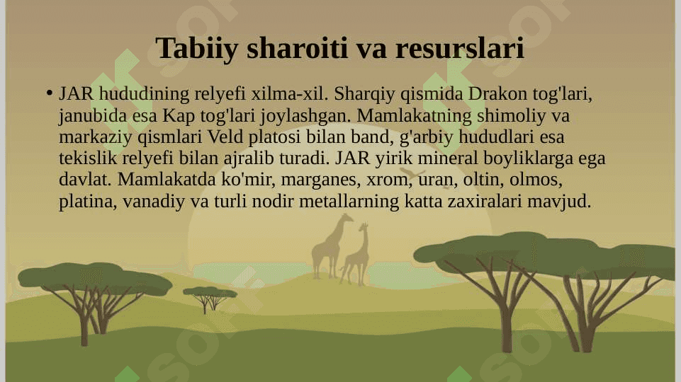 Janubiy Afrika Respublikasi 7