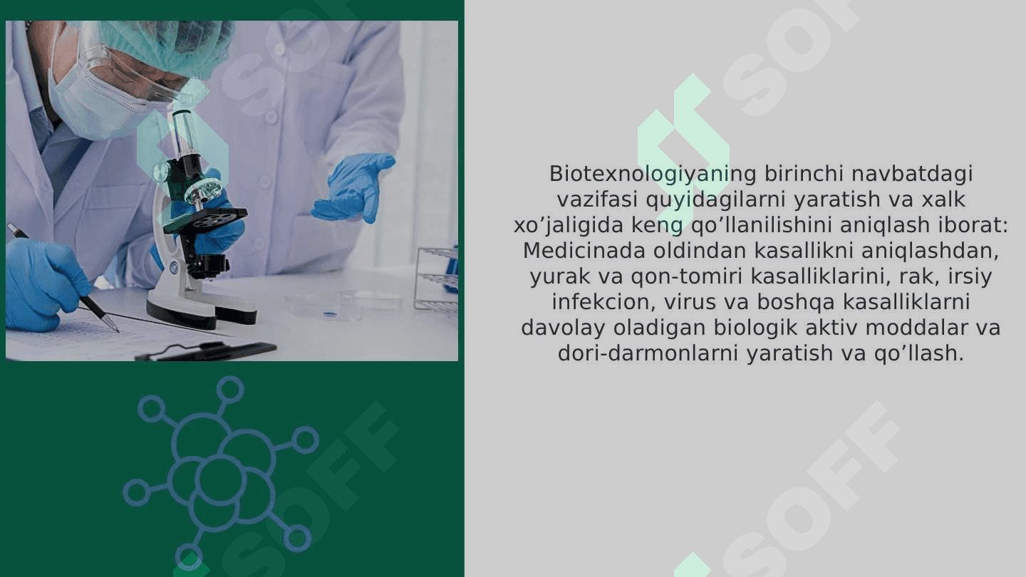 Biotexnalogiyaning ekologik aspektlari 4