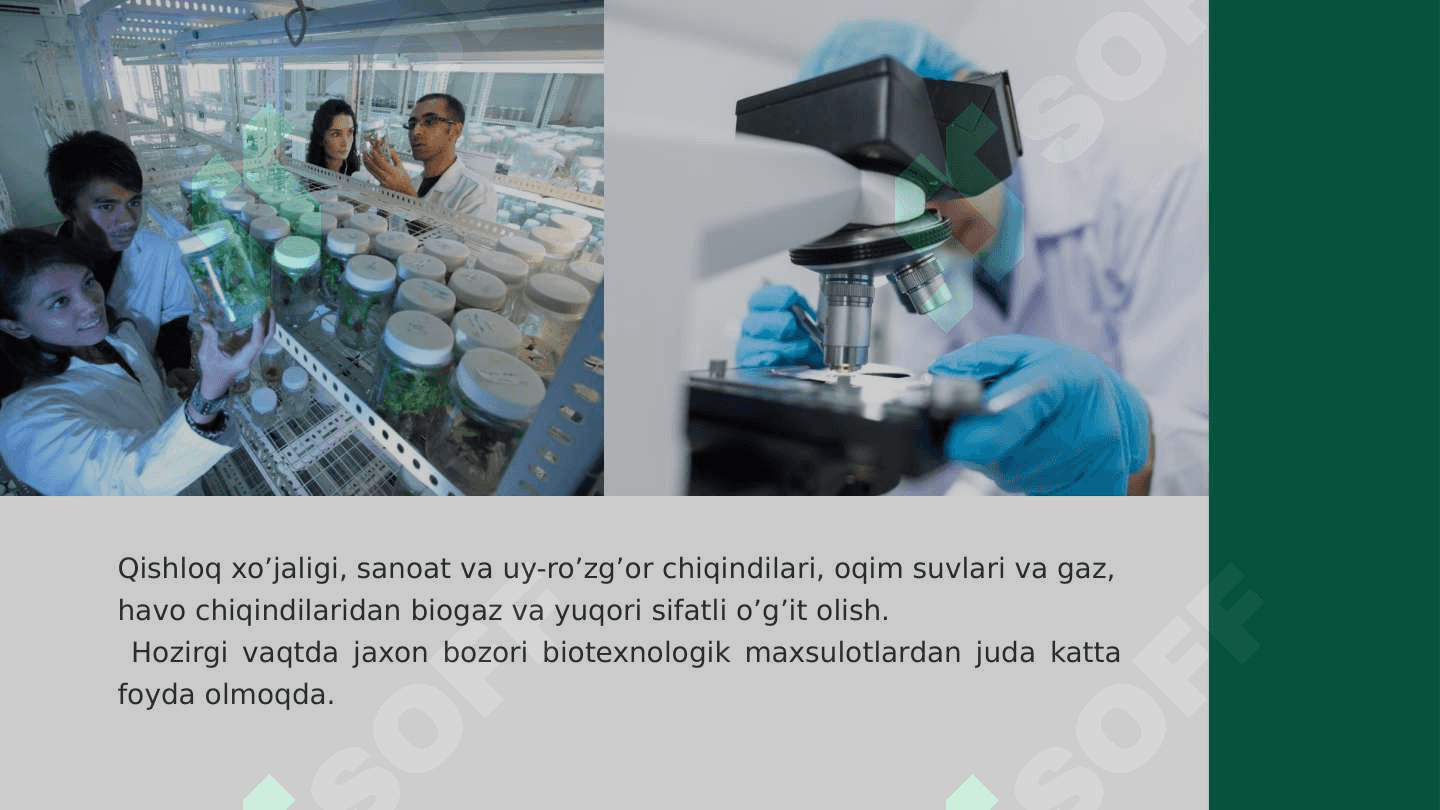 Biotexnalogiyaning ekologik aspektlari 7