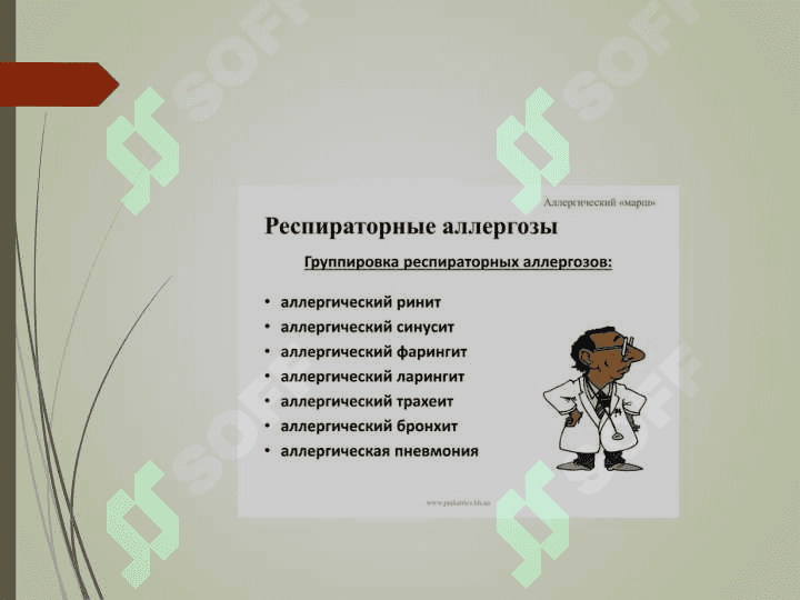 Respirator allergozlar 2
