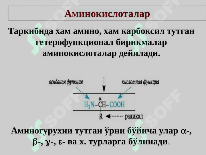 Aminokislota va oqsillar. 4