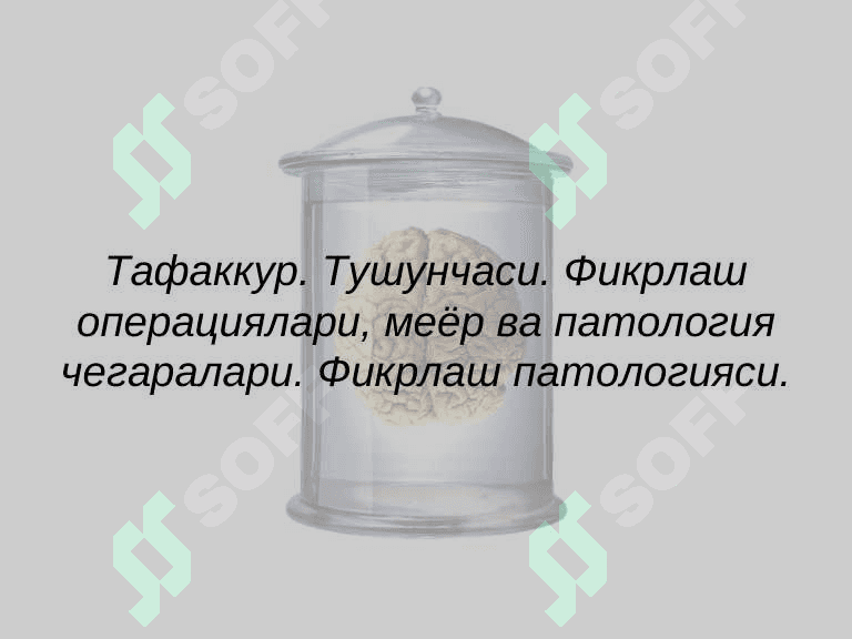 Тафаккур патологияси 2