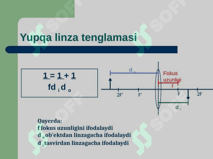 Linzalar 3
