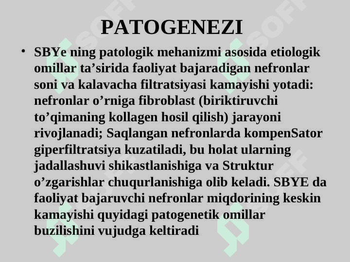 BUYRAK   YALLIG’LANISHI VA IMMUN YALLIG’LANISH  KASALLIKLARINING ETIOLOGIYASI , PATOGENEZI, KASALLIKNING KLINIK NOMOYON BO’LISHI , DIAGNOSTIKASI VA AKTIVLIK MEZONLARI . BUYRAK   YALLIG’LANISHI VA IMMUN YALLIG’LANISH  KASALLIKLARINING ETIOLOGIYASI , PATOGENEZI, KASALLIKNING KLINIK NOMOYON BO’LISHI , DIAGNOSTIKASI VA AKTIVLIK MEZONLARI 5