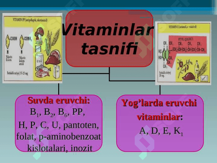Vitaminlar. Suvda va yog`da eriydigan vitaminlar 8