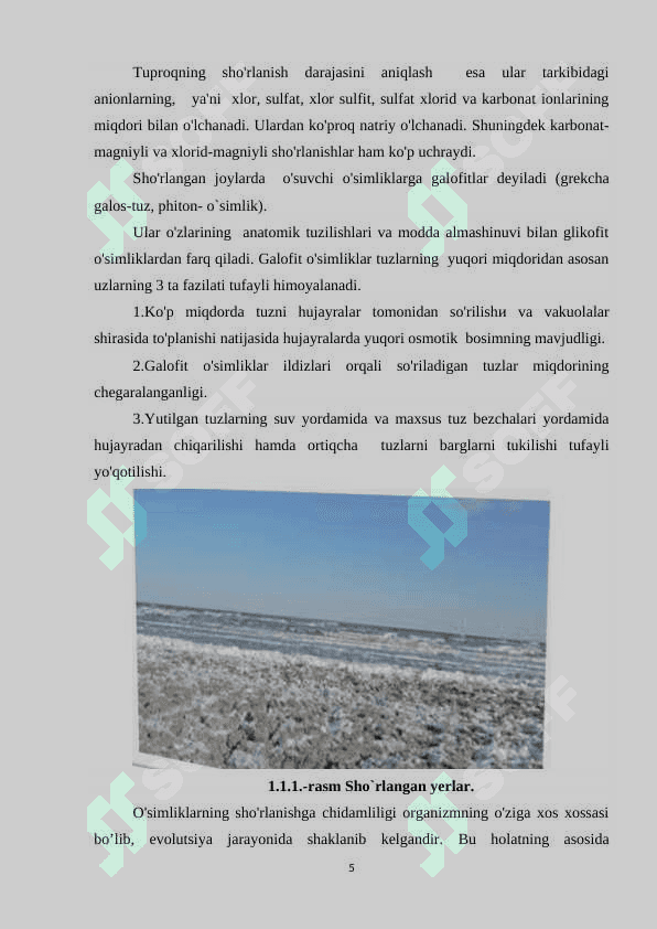 O`simliklarning sho`rlanishiga chidamliligi 5