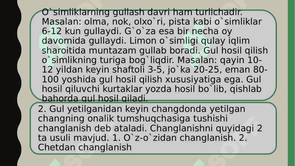 O’simliklarda urug’lanish 4