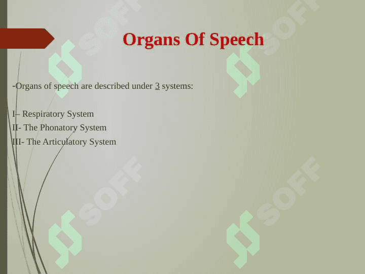 Drawing the speech organs 2