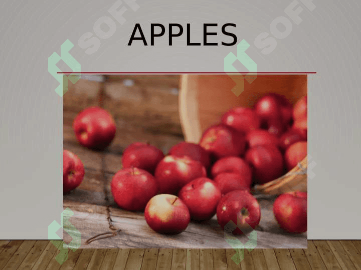 Food Vocabulary 8